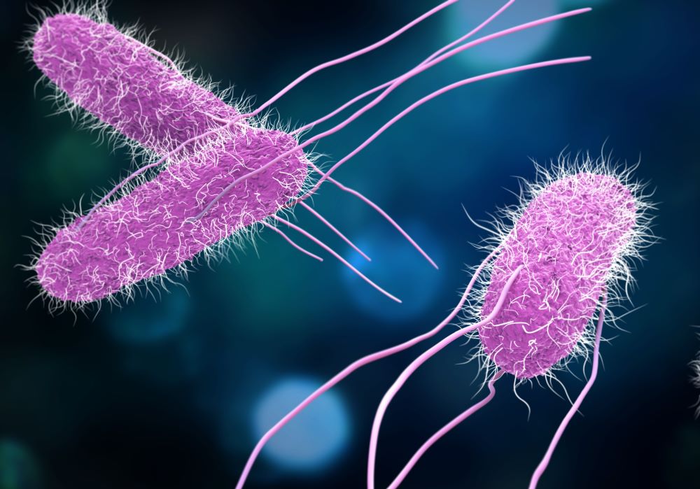 What is UKHSA doing about antibiotic resistance? – UK Health Security Agency